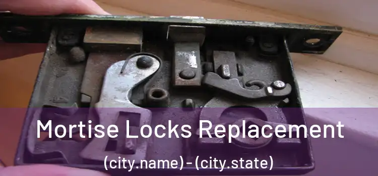 Mortise Locks Replacement (city.name) - (city.state)